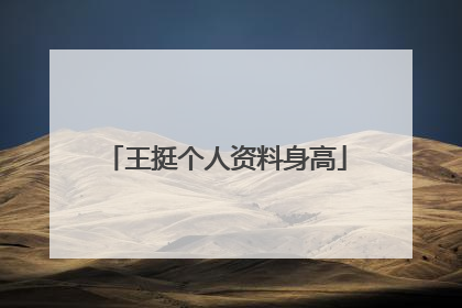 王挺个人资料身高