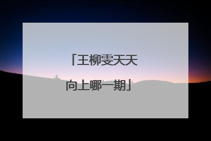 王柳雯天天向上哪一期