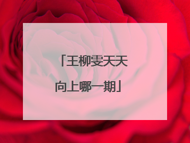 王柳雯天天向上哪一期