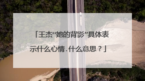 王杰“她的背影”具体表示什么心情.什么意思?