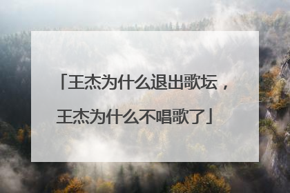 王杰为什么退出歌坛，王杰为什么不唱歌了
