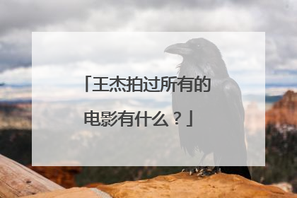 王杰拍过所有的电影有什么?