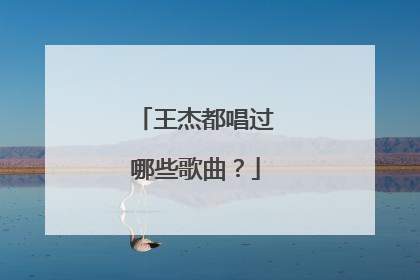 王杰都唱过哪些歌曲？