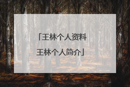 王林个人资料 王林个人简介