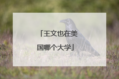 王文也在美国哪个大学