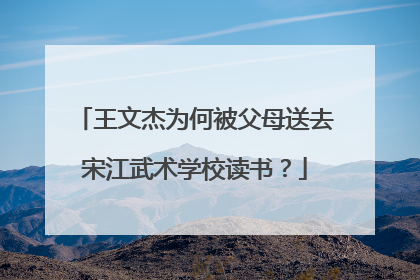 王文杰为何被父母送去宋江武术学校读书？