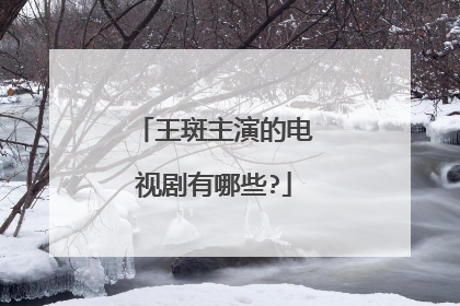王斑主演的电视剧有哪些?