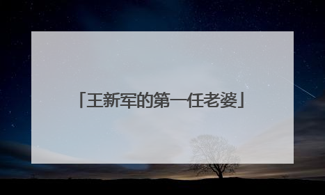 王新军的第一任老婆