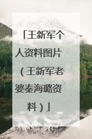 王新军个人资料图片（王新军老婆秦海璐资料）