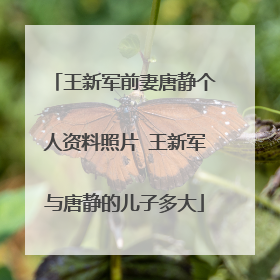 王新军前妻唐静个人资料照片 王新军与唐静的儿子多大