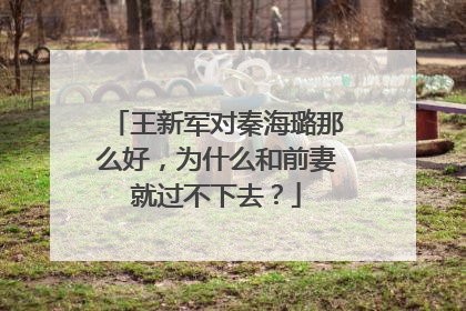 王新军对秦海璐那么好,为什么和前妻就过不下去?