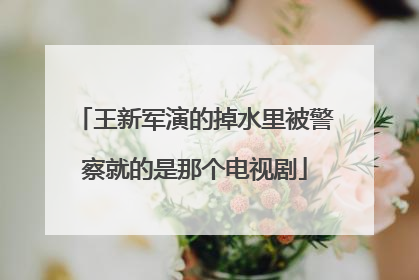 王新军演的掉水里被警察就的是那个电视剧