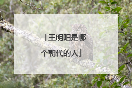 王明阳是哪个朝代的人