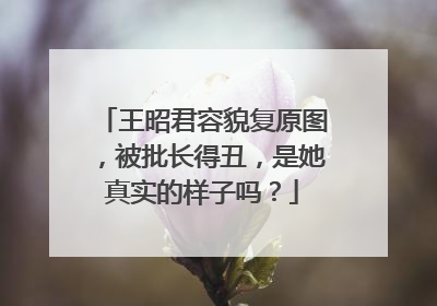 王昭君容貌复原图,被批长得丑,是她真实的样子吗?