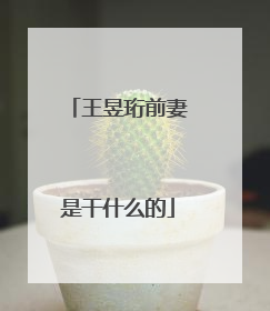 王昱珩前妻是干什么的