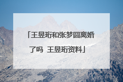 王昱珩和张梦圆离婚了吗 王昱珩资料