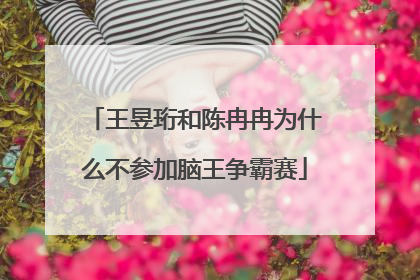 王昱珩和陈冉冉为什么不参加脑王争霸赛