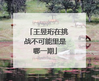 王昱珩在挑战不可能里是哪一期