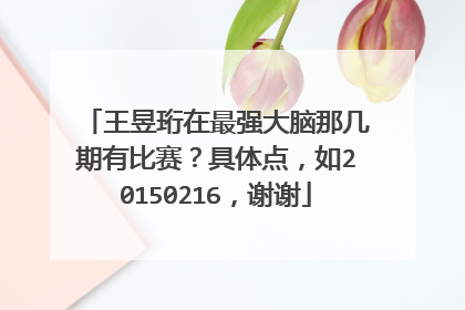 王昱珩在最强大脑那几期有比赛？具体点，如20150216，谢谢