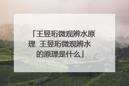 王昱珩微观辨水原理 王昱珩微观辨水的原理是什么