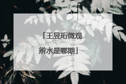 王昱珩微观辨水是哪期