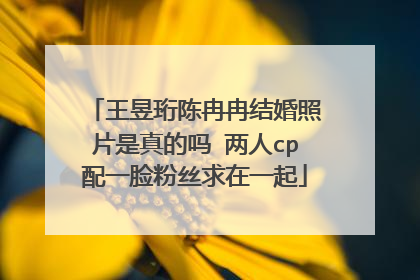 王昱珩陈冉冉结婚照片是真的吗 两人cp配一脸粉丝求在一起