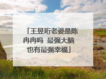 王昱珩老婆是陈冉冉吗 最强大脑也有最强幸福