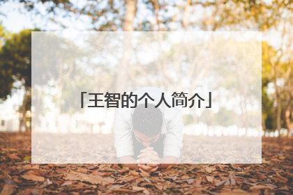 王智的个人简介