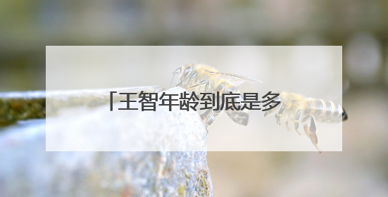 王智年龄到底是多少 夏洛特的烦恼王智个人资料照片