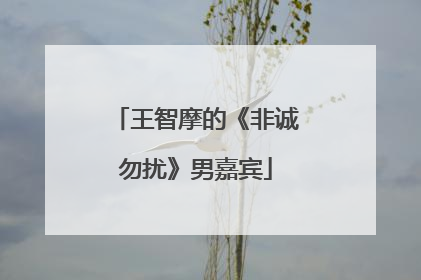 王智摩的《非诚勿扰》男嘉宾