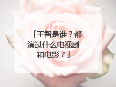 王智是谁?都演过什么电视剧和电影?