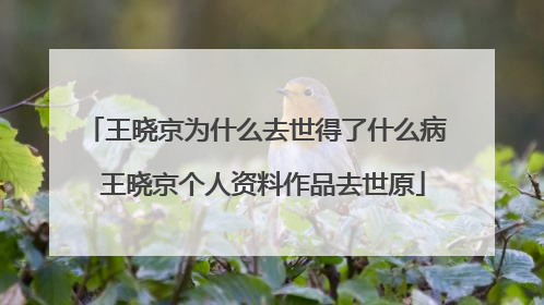 王晓京为什么去世得了什么病 王晓京个人资料作品去世原