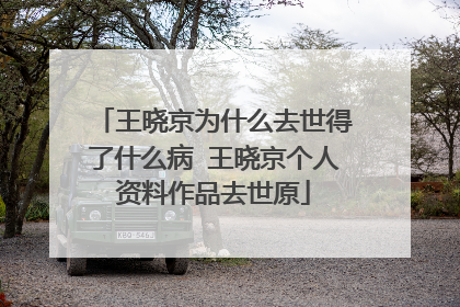 王晓京为什么去世得了什么病 王晓京个人资料作品去世原