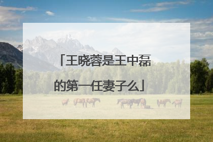 王晓蓉是王中磊的第一任妻子么