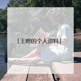 王晔的个人资料