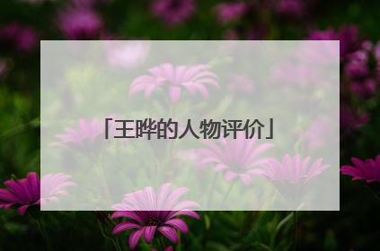 王晔的人物评价