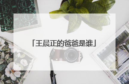 王晨正的爸爸是谁