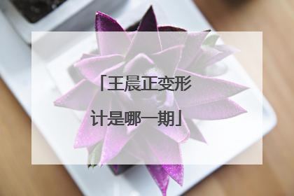 王晨正变形计是哪一期