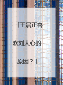 王晨正喜欢刘大心的原因？