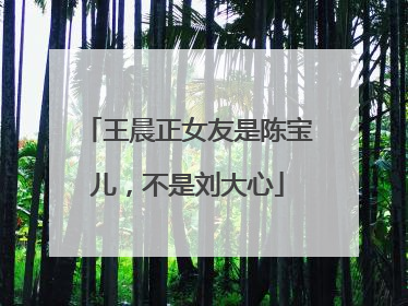 王晨正女友是陈宝儿，不是刘大心