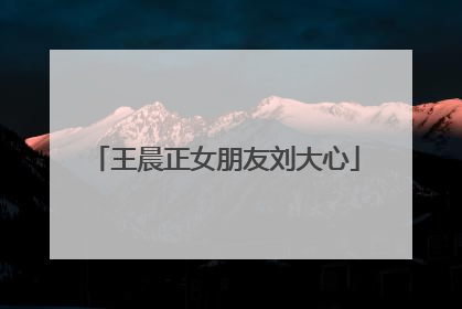 王晨正女朋友刘大心