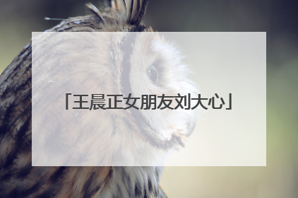 王晨正女朋友刘大心