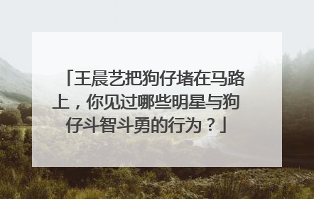王晨艺把狗仔堵在马路上,你见过哪些明星与狗仔斗智斗勇的行为?