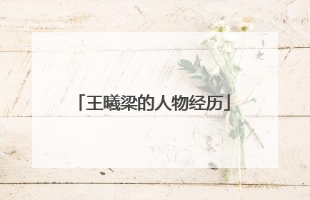 王曦梁的人物经历