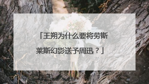 王朔为什么要将劳斯莱斯幻影送予周迅？