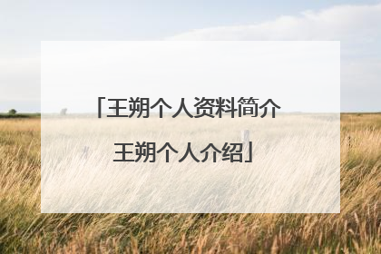 王朔个人资料简介 王朔个人介绍