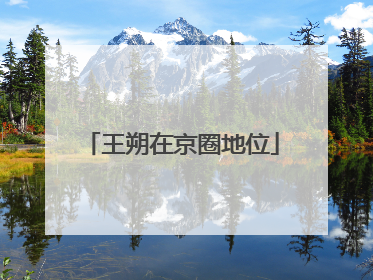 王朔在京圈地位