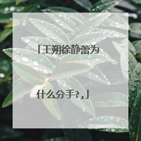 王朔徐静蕾为什么分手?,