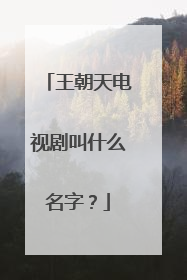 王朝天电视剧叫什么名字?