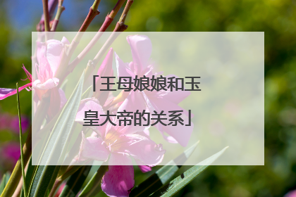 王母娘娘和玉皇大帝的关系